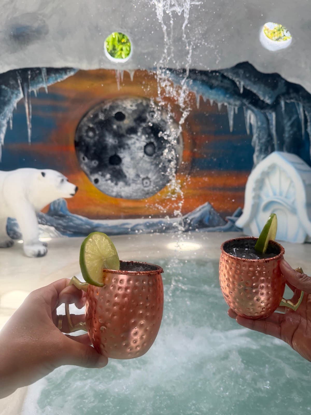 Oasis Polar